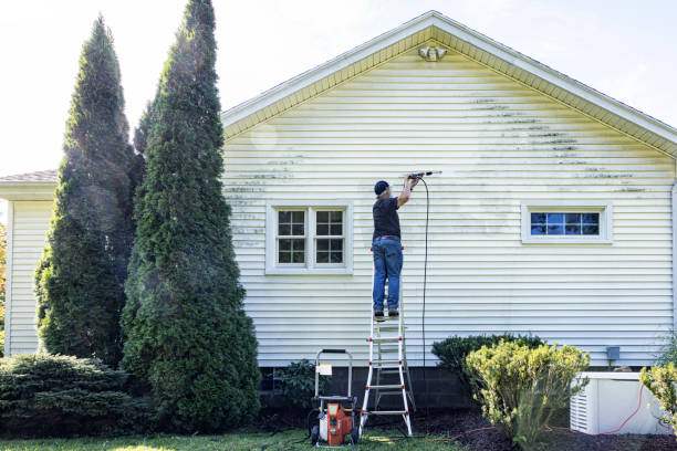 Best Window and Screen Pressure Cleaning in St Paul Park, MN